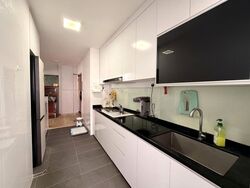 Blk 289B Compassvale Cape (Sengkang), HDB 4 Rooms #637392471
